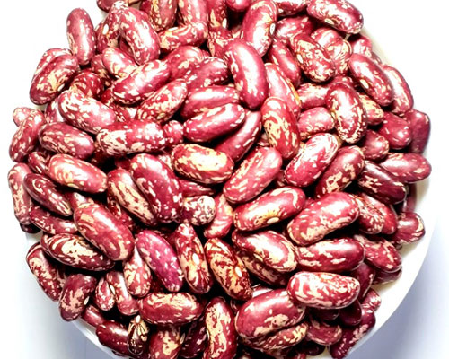 Red Speckled Kidney Beans