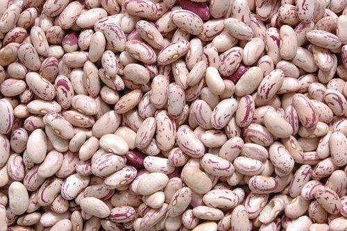 Light Speckled Kidney Beans
